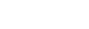Shopify Experts