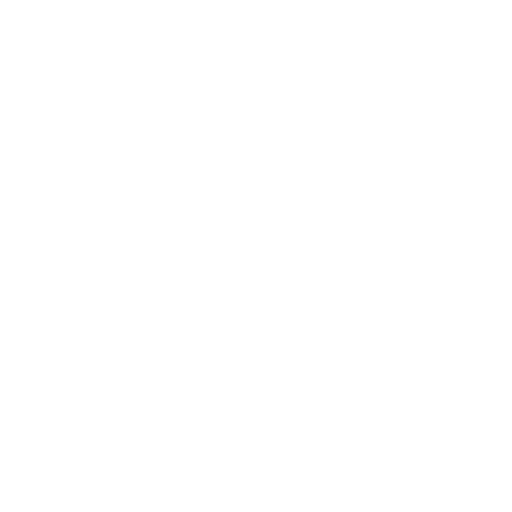 Shopify Logo